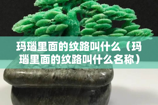 瑪瑙里面的紋路叫什么（瑪瑙里面的紋路叫什么名稱）