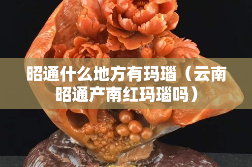 昭通什么地方有瑪瑙（云南昭通產南紅瑪瑙嗎）