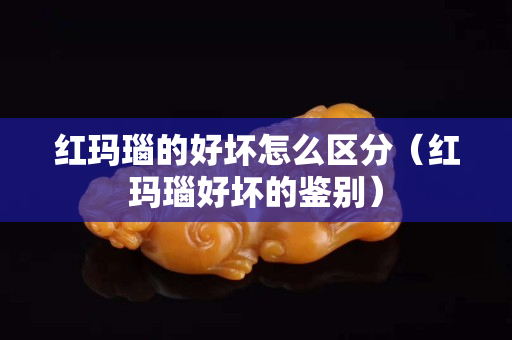 紅瑪瑙的好壞怎么區(qū)分（紅瑪瑙好壞的鑒別）