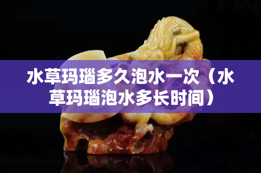 水草瑪瑙多久泡水一次（水草瑪瑙泡水多長時間）