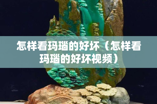 怎樣看瑪瑙的好壞（怎樣看瑪瑙的好壞視頻）