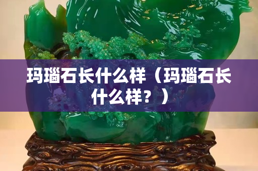 瑪瑙石長什么樣（瑪瑙石長什么樣？）