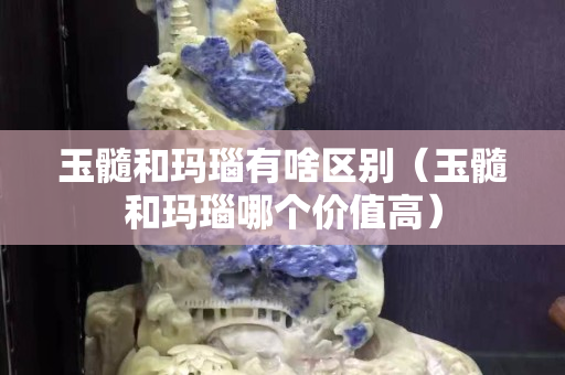 玉髓和瑪瑙有啥區別（玉髓和瑪瑙哪個價值高）