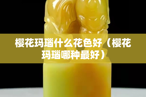 櫻花瑪瑙什么花色好（櫻花瑪瑙哪種最好）