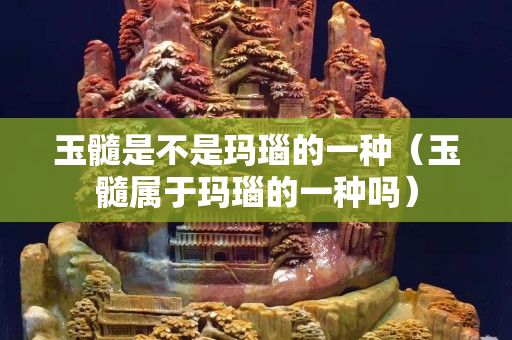 玉髓是不是瑪瑙的一種（玉髓屬于瑪瑙的一種嗎）