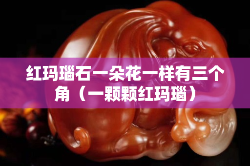 紅瑪瑙石一朵花一樣有三個角（一顆顆紅瑪瑙）