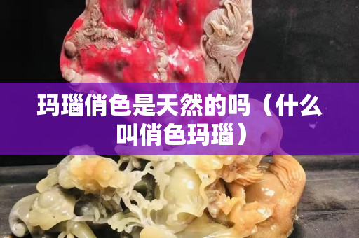 瑪瑙俏色是天然的嗎（什么叫俏色瑪瑙）