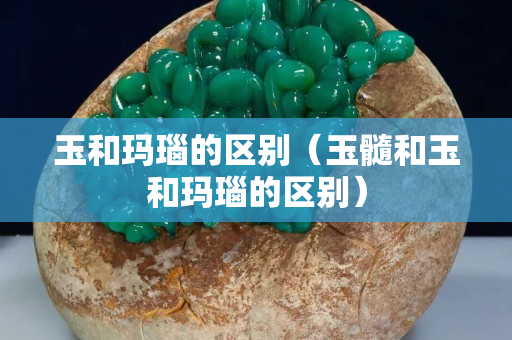 玉和瑪瑙的區(qū)別（玉髓和玉和瑪瑙的區(qū)別）