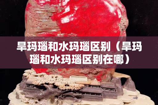 旱瑪瑙和水瑪瑙區(qū)別（旱瑪瑙和水瑪瑙區(qū)別在哪）