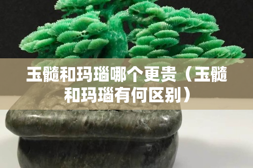 玉髓和瑪瑙哪個更貴（玉髓和瑪瑙有何區別）