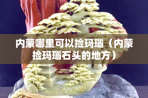 內蒙哪里可以撿瑪瑙（內蒙撿瑪瑙石頭的地方）