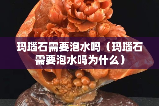 瑪瑙石需要泡水嗎（瑪瑙石需要泡水嗎為什么）