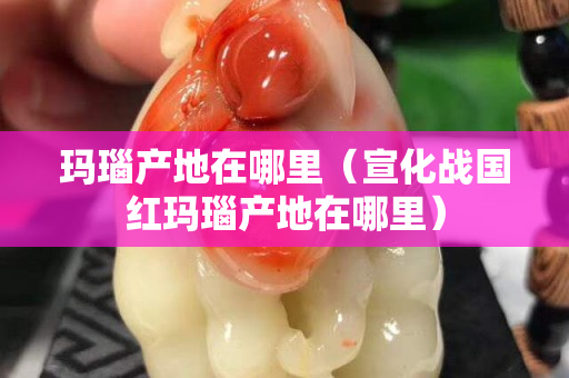 瑪瑙產地在哪里（宣化戰國紅瑪瑙產地在哪里）