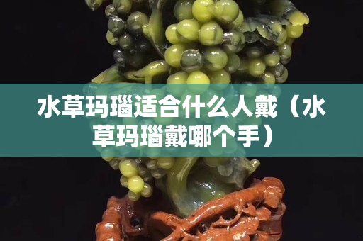 水草瑪瑙適合什么人戴（水草瑪瑙戴哪個(gè)手）