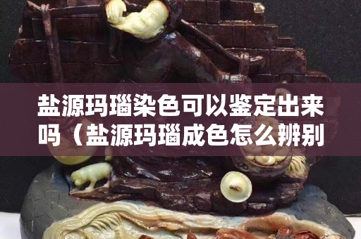 鹽源瑪瑙染色可以鑒定出來嗎（鹽源瑪瑙成色怎么辨別）