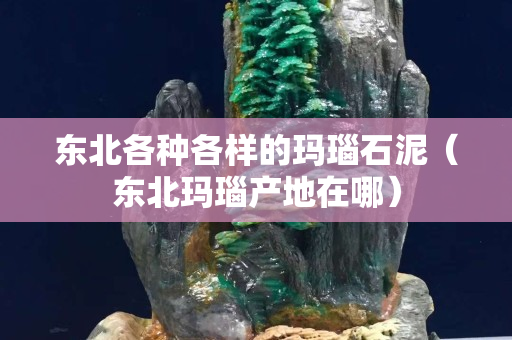 東北各種各樣的瑪瑙石泥（東北瑪瑙產地在哪）