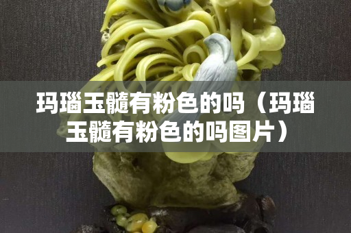 瑪瑙玉髓有粉色的嗎（瑪瑙玉髓有粉色的嗎圖片）