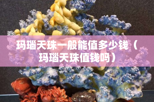 瑪瑙天珠一般能值多少錢（瑪瑙天珠值錢嗎）