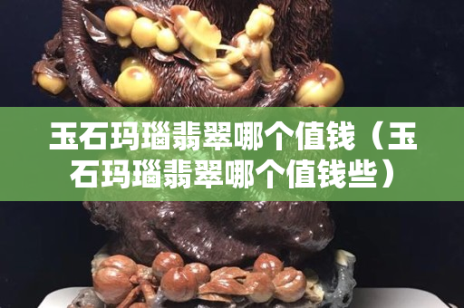 玉石瑪瑙翡翠哪個值錢（玉石瑪瑙翡翠哪個值錢些）