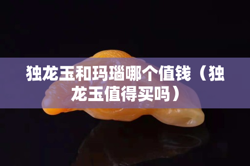 獨龍玉和瑪瑙哪個值錢（獨龍玉值得買嗎）