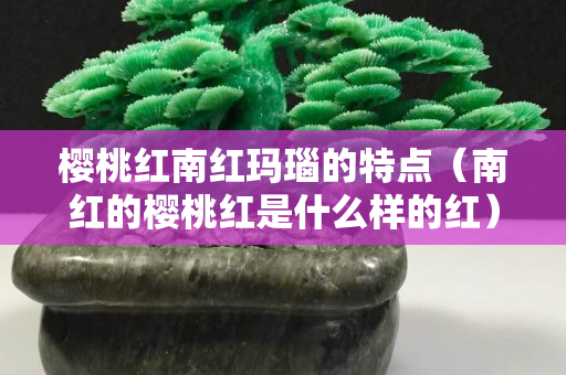 櫻桃紅南紅瑪瑙的特點（南紅的櫻桃紅是什么樣的紅）