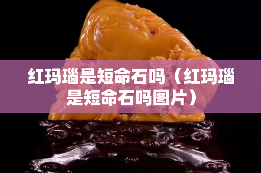 紅瑪瑙是短命石嗎（紅瑪瑙是短命石嗎圖片）