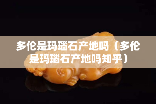 多倫是瑪瑙石產地嗎（多倫是瑪瑙石產地嗎知乎）