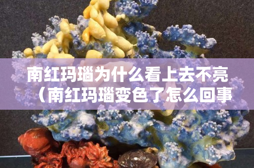 南紅瑪瑙為什么看上去不亮（南紅瑪瑙變色了怎么回事）