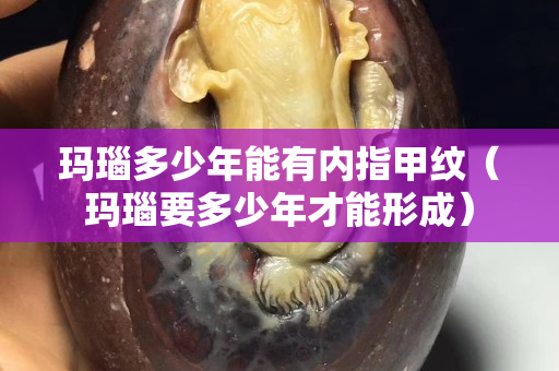 瑪瑙多少年能有內指甲紋（瑪瑙要多少年才能形成）