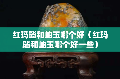 紅瑪瑙和岫玉哪個(gè)好（紅瑪瑙和岫玉哪個(gè)好一些）