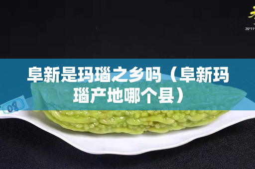 阜新是瑪瑙之鄉(xiāng)嗎（阜新瑪瑙產(chǎn)地哪個縣）