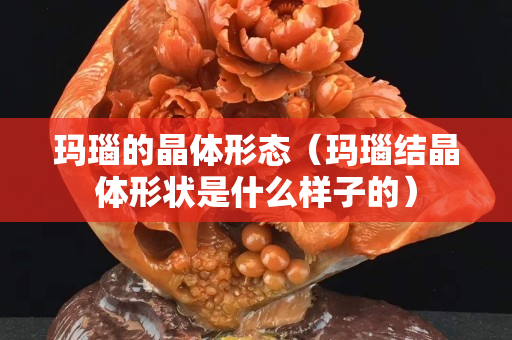 瑪瑙的晶體形態(tài)（瑪瑙結(jié)晶體形狀是什么樣子的）
