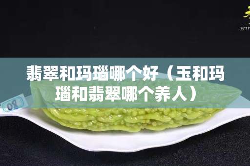 翡翠和瑪瑙哪個好（玉和瑪瑙和翡翠哪個養人）