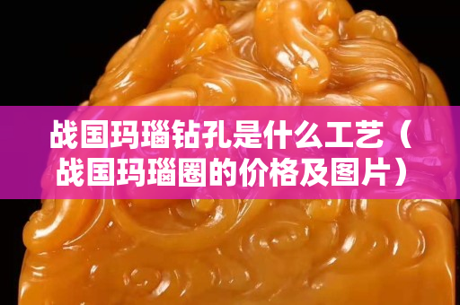 戰(zhàn)國瑪瑙鉆孔是什么工藝（戰(zhàn)國瑪瑙圈的價格及圖片）