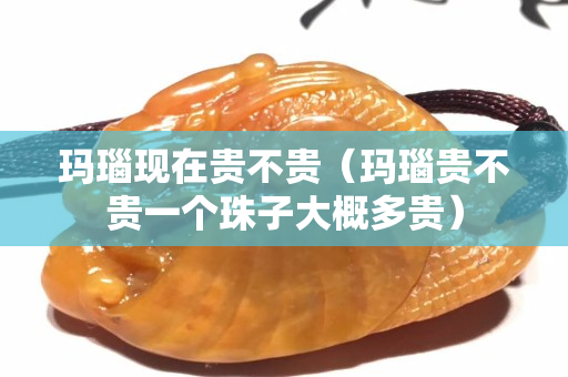 瑪瑙現(xiàn)在貴不貴（瑪瑙貴不貴一個珠子大概多貴）