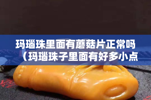 瑪瑙珠里面有蘑菇片正常嗎（瑪瑙珠子里面有好多小點點）