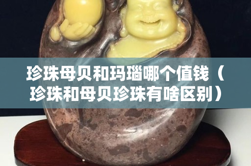 珍珠母貝和瑪瑙哪個值錢（珍珠和母貝珍珠有啥區別）