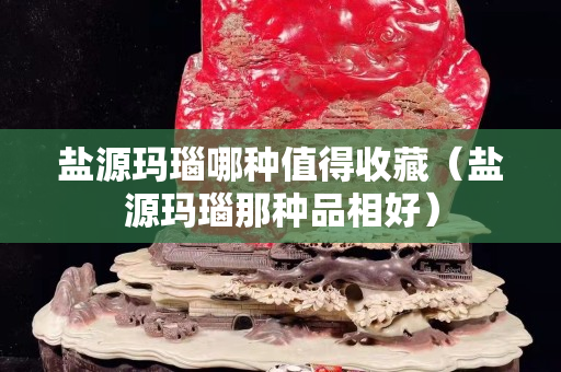 鹽源瑪瑙哪種值得收藏（鹽源瑪瑙那種品相好）