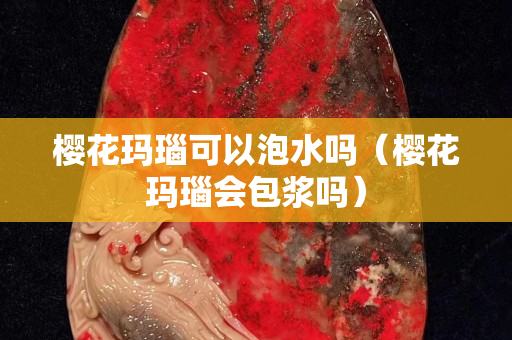 櫻花瑪瑙可以泡水嗎（櫻花瑪瑙會包漿嗎）