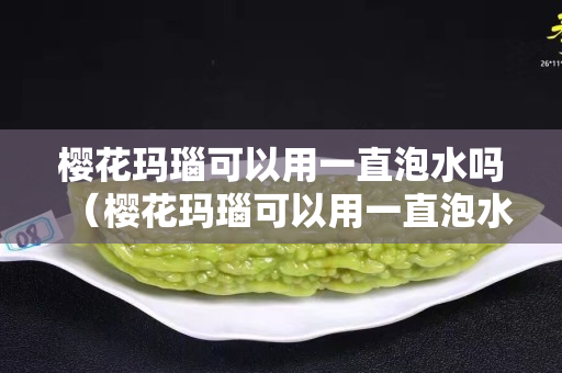 櫻花瑪瑙可以用一直泡水嗎（櫻花瑪瑙可以用一直泡水嗎視頻）