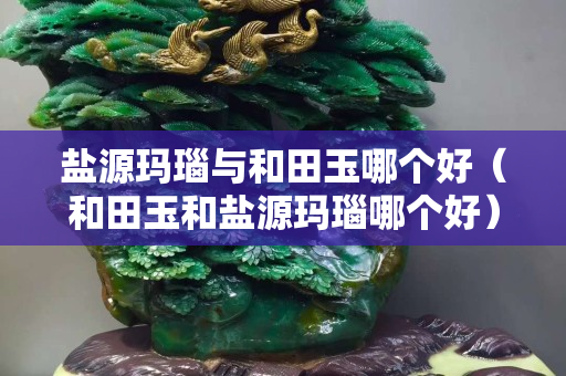 鹽源瑪瑙與和田玉哪個(gè)好（和田玉和鹽源瑪瑙哪個(gè)好）