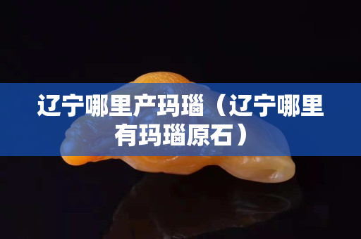 遼寧哪里產瑪瑙（遼寧哪里有瑪瑙原石）