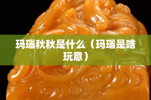 瑪瑙秋秋是什么（瑪瑙是啥玩意）