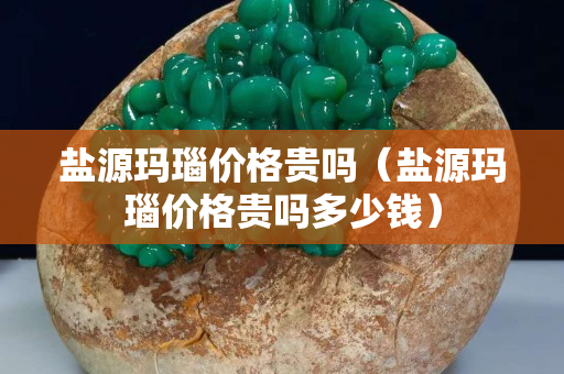 鹽源瑪瑙價格貴嗎（鹽源瑪瑙價格貴嗎多少錢）