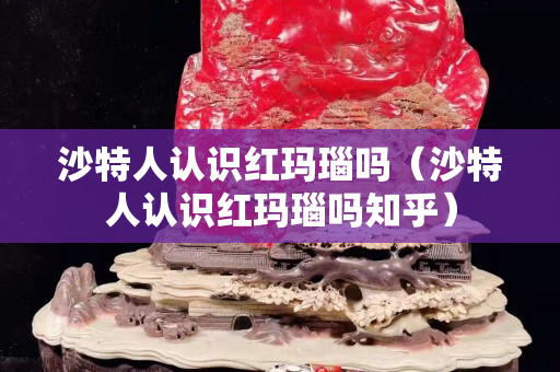 沙特人認識紅瑪瑙嗎（沙特人認識紅瑪瑙嗎知乎）