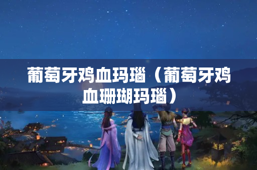 葡萄牙雞血瑪瑙（葡萄牙雞血珊瑚瑪瑙）