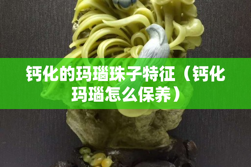 鈣化的瑪瑙珠子特征（鈣化瑪瑙怎么保養）