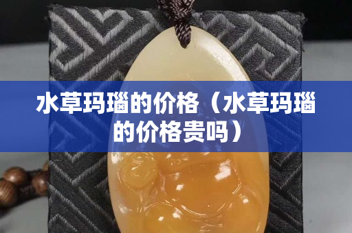 水草瑪瑙的價格（水草瑪瑙的價格貴嗎）