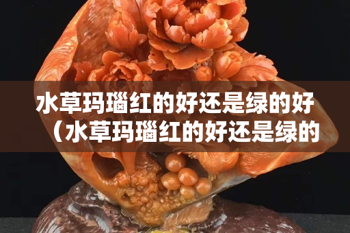 水草瑪瑙紅的好還是綠的好（水草瑪瑙紅的好還是綠的好看）