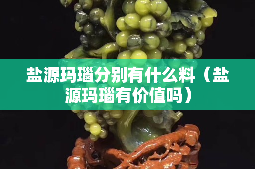 鹽源瑪瑙分別有什么料（鹽源瑪瑙有價值嗎）